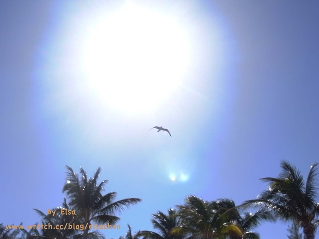 bahamas-cococay-nassau