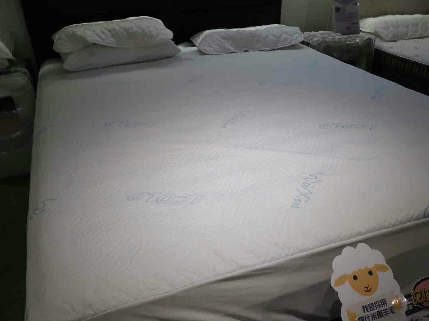 【床墊推薦】林口床大師。超舒服的德國優客、美國伊麗絲名床！