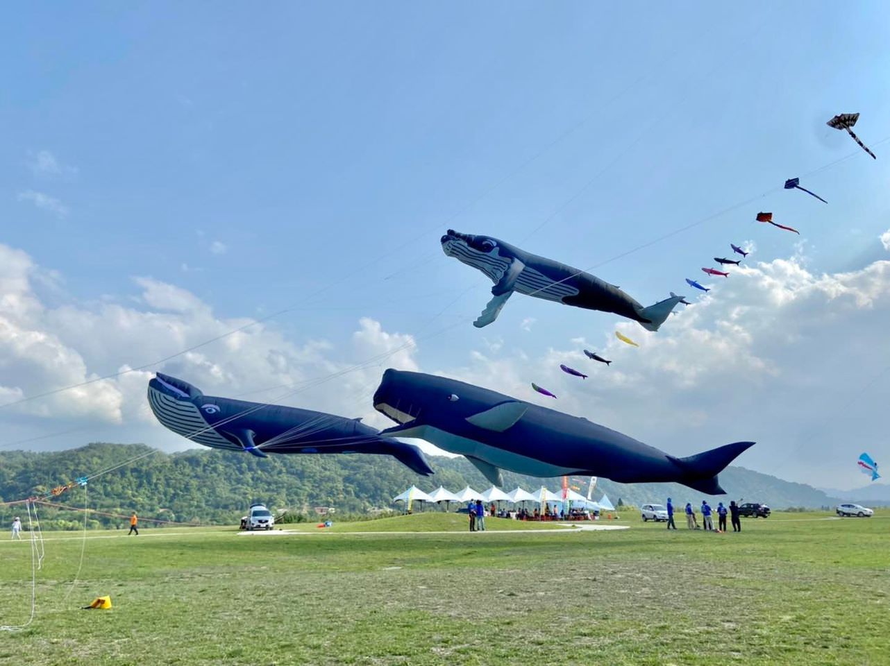 桃園景點遊記|2022桃園國際風箏節-春季鯨奇之旅!超大座頭鯨、海底生物天上飛! - 第1張圖 桃園景點遊記|2022桃園國際風箏節-春季鯨奇之旅!超大座頭鯨、海底生物天上飛!