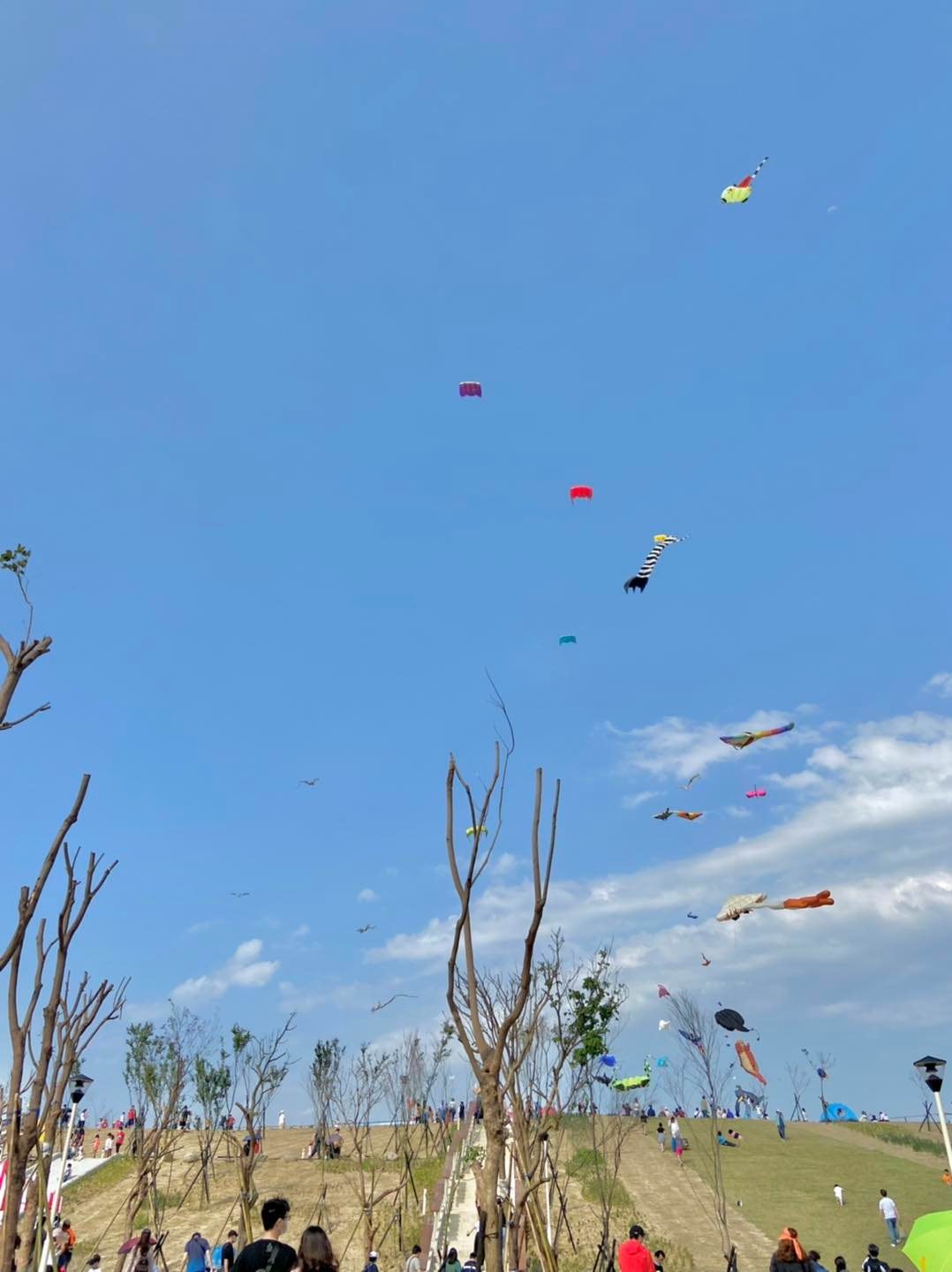 桃園景點遊記|2022桃園國際風箏節-春季鯨奇之旅!超大座頭鯨、海底生物天上飛! - 第11張圖 桃園景點遊記|2022桃園國際風箏節-春季鯨奇之旅!超大座頭鯨、海底生物天上飛!