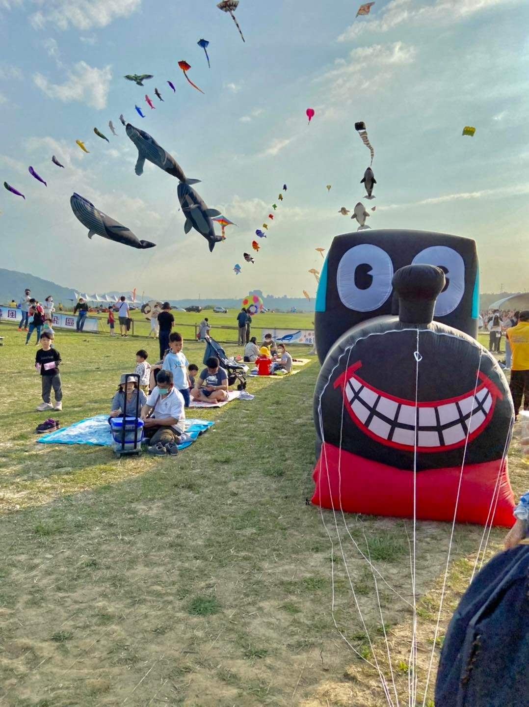 桃園景點遊記|2022桃園國際風箏節-春季鯨奇之旅!超大座頭鯨、海底生物天上飛! - 第4張圖 桃園景點遊記|2022桃園國際風箏節-春季鯨奇之旅!超大座頭鯨、海底生物天上飛!