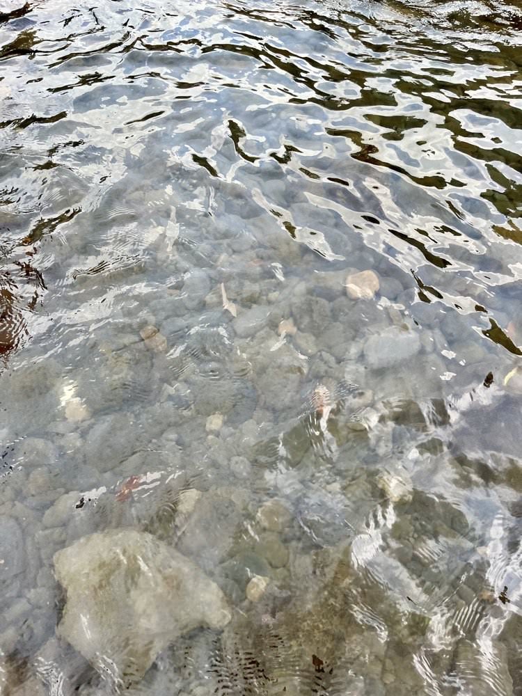 宇內溪戲水區｜夏季限定！有救生員的清涼天然溪流｜桃園玩水景點推薦！