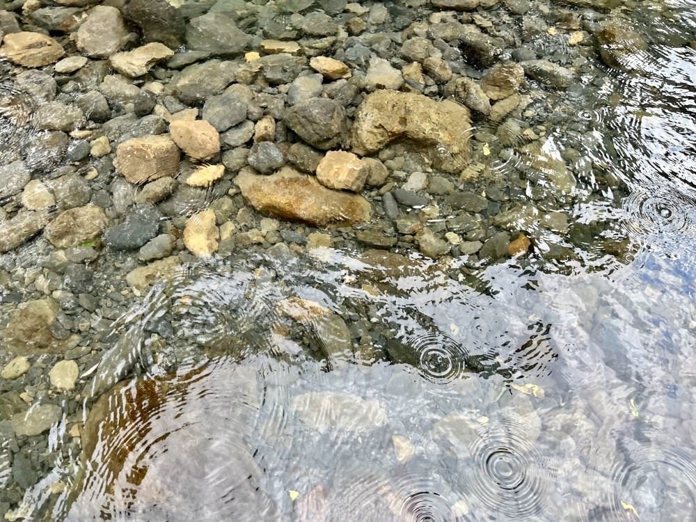 宇內溪戲水區｜夏季限定！有救生員的清涼天然溪流｜桃園玩水景點推薦！