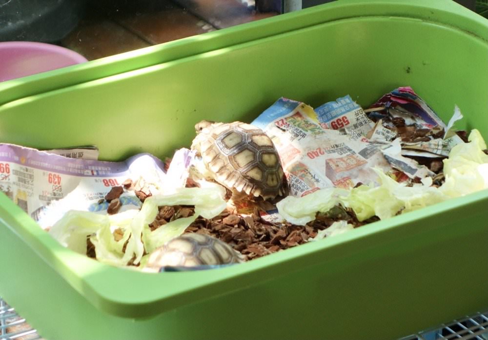 沃德先生烘培餐館｜質感氣氛、義大利麵與精緻美食，中壢不限時餐廳推薦！