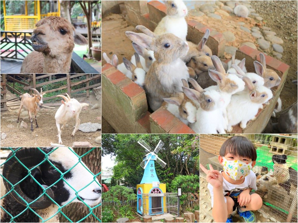 羊世界牧場｜餵羊吃草趣，還可餵食天竺鼠、草泥馬、可愛兔子、土撥鼠｜門票只要60元｜桃園中壢親子景點推薦！