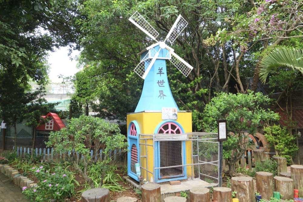 羊世界牧場｜餵羊吃草趣，還可餵食天竺鼠、草泥馬、可愛兔子、土撥鼠｜門票只要60元｜桃園中壢親子景點推薦！