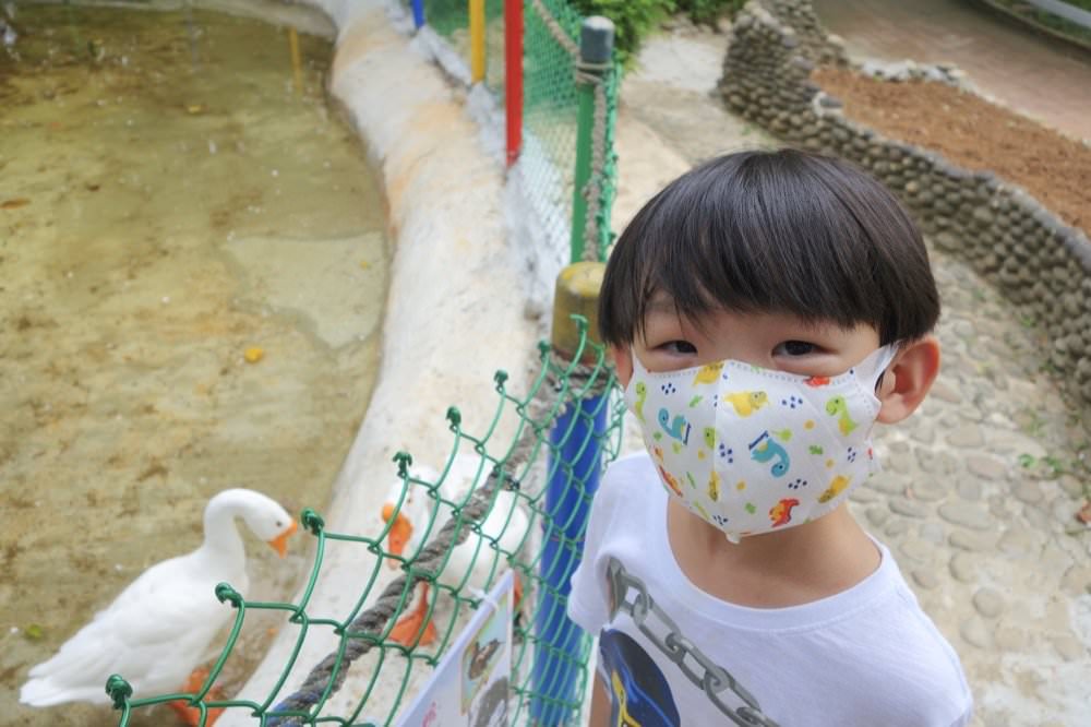 羊世界牧場｜餵羊吃草趣，還可餵食天竺鼠、草泥馬、可愛兔子、土撥鼠｜門票只要60元｜桃園中壢親子景點推薦！