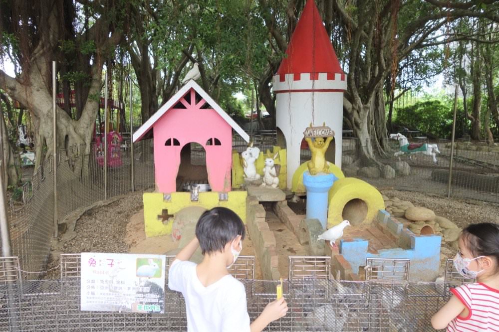 羊世界牧場｜餵羊吃草趣，還可餵食天竺鼠、草泥馬、可愛兔子、土撥鼠｜門票只要60元｜桃園中壢親子景點推薦！