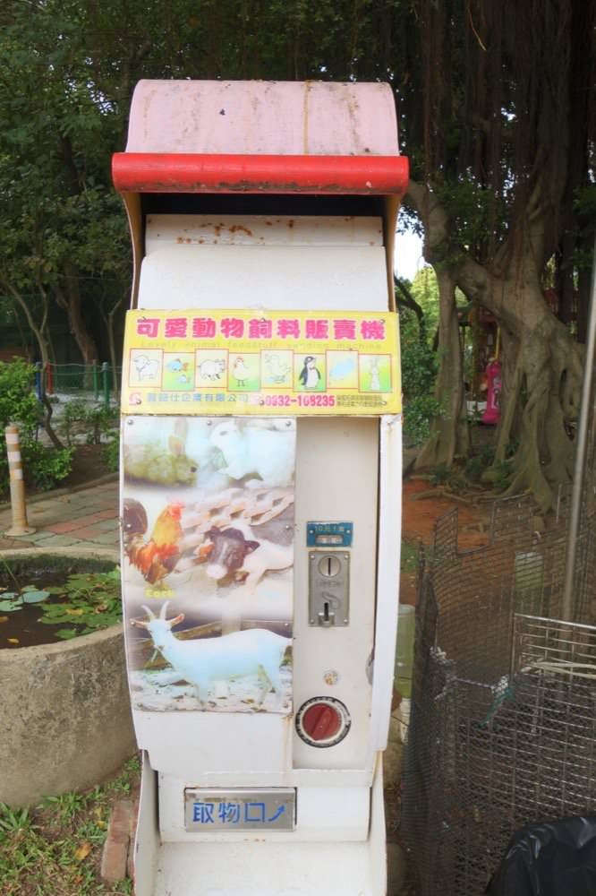 羊世界牧場｜餵羊吃草趣，還可餵食天竺鼠、草泥馬、可愛兔子、土撥鼠｜門票只要60元｜桃園中壢親子景點推薦！