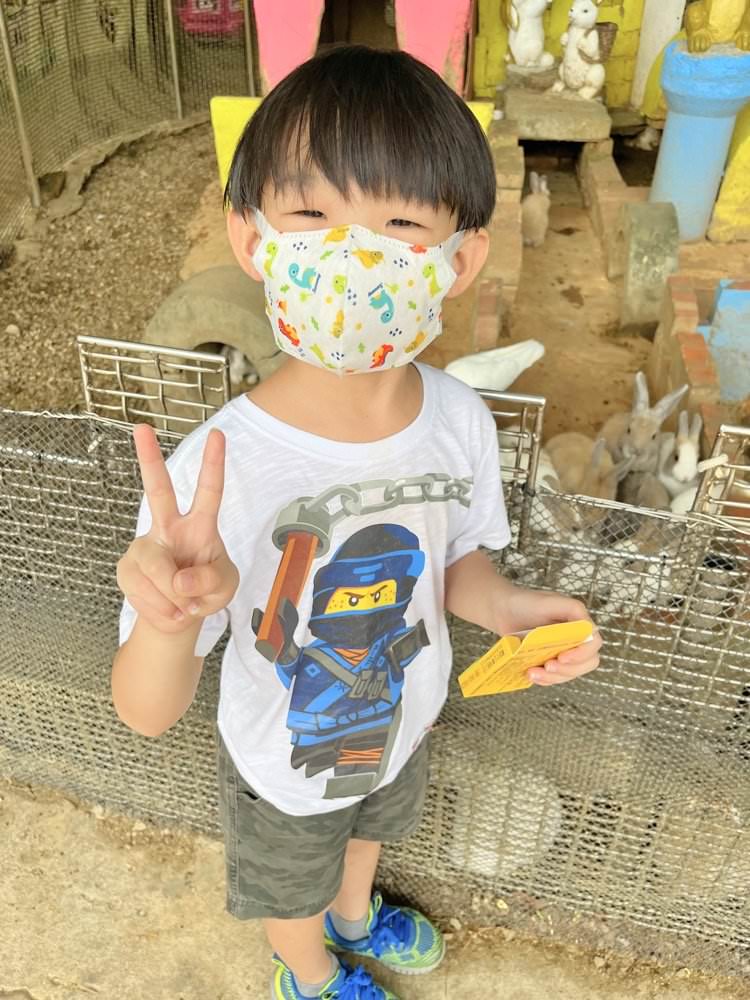 羊世界牧場｜餵羊吃草趣，還可餵食天竺鼠、草泥馬、可愛兔子、土撥鼠｜門票只要60元｜桃園中壢親子景點推薦！