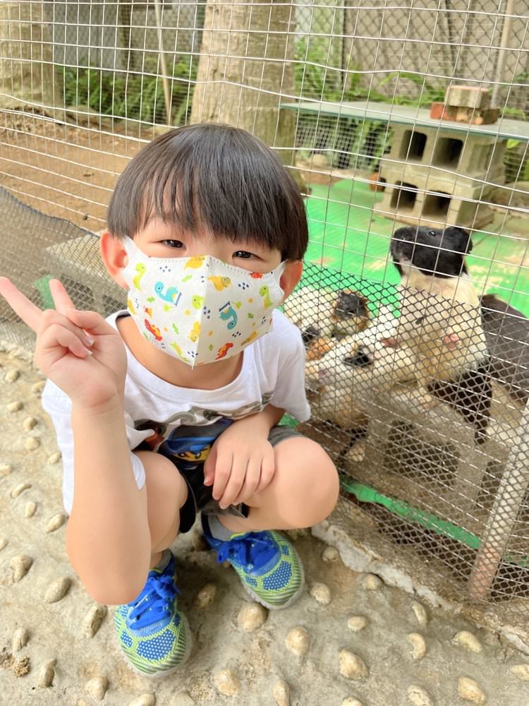 羊世界牧場｜餵羊吃草趣，還可餵食天竺鼠、草泥馬、可愛兔子、土撥鼠｜門票只要60元｜桃園中壢親子景點推薦！