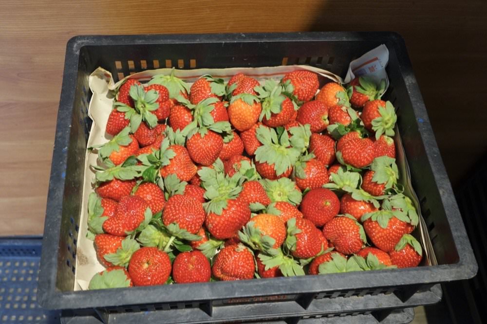 中壢披薩推薦｜來我家吃pizza手工窯烤專賣店－好吃現做美味披薩！