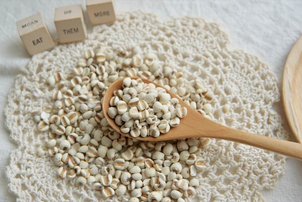 薏仁錠推薦｜精選 3 品牌薏仁錠、薏仁飲與 BWYA 草本薏仁錠升級版Plus+實際心得！