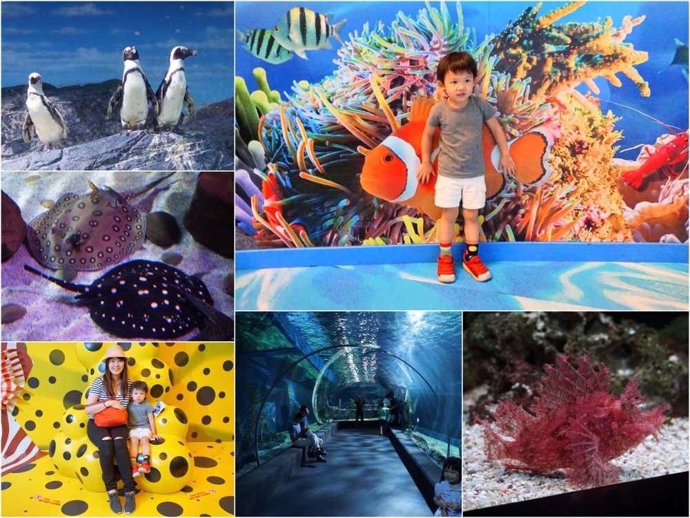 曼谷親子景點推薦｜曼谷暹羅海洋世界Sea Life Bangkok Ocean World、杜莎夫人蠟像館 | 曼谷下雨天大熱天室內景點推薦！