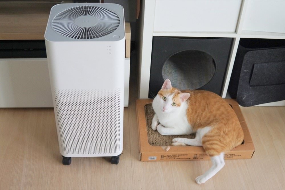 綠綠好日｜品質有保證的抗菌濾網副廠推薦！獨家抗菌HEPA濾芯+活性碳濾網