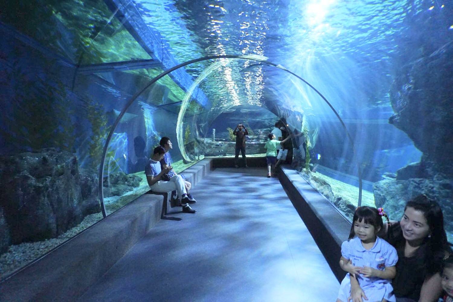 曼谷親子景點推薦｜曼谷暹羅海洋世界Sea Life Bangkok Ocean World、杜莎夫人蠟像館 | 曼谷下雨天大熱天室內景點推薦！