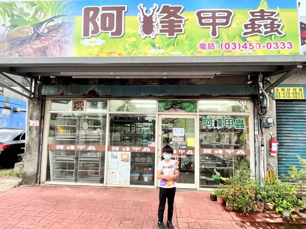中壢甲蟲店推薦【阿峰甲蟲】獨角仙、鍬形蟲、雞母蟲、果凍飼育箱腐植土全都有！