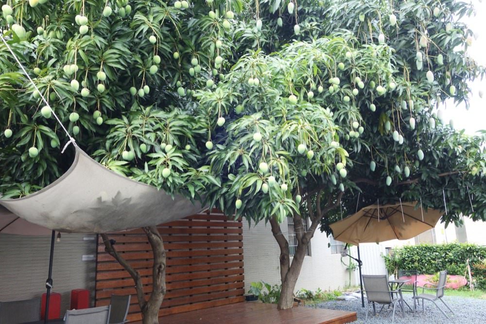 食久。茶事｜台中大里美食-超美玻璃貨櫃屋咖啡廳、美味下午茶｜台中餐廳推薦