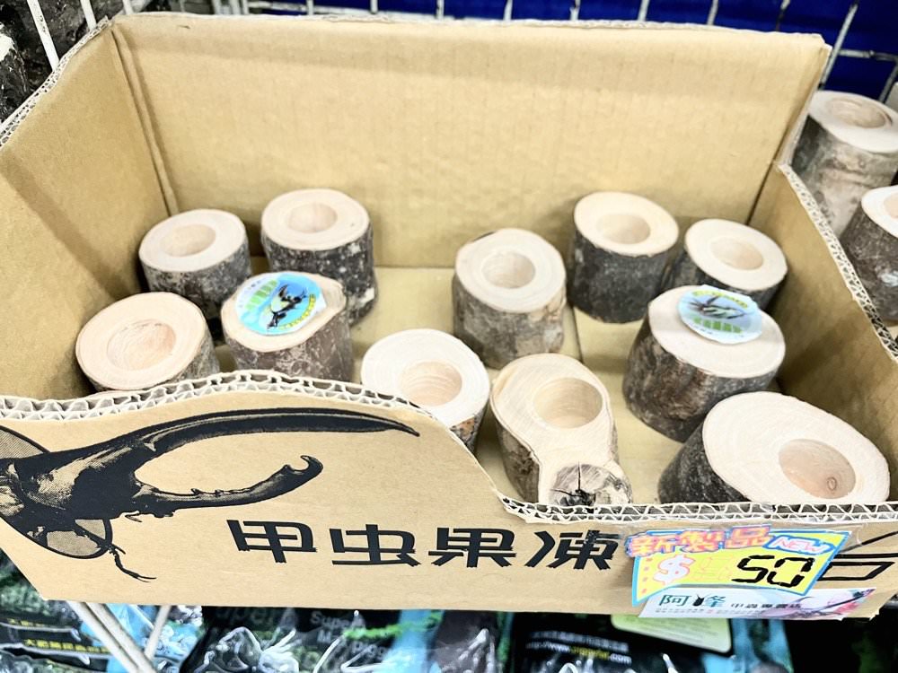 中壢甲蟲店推薦【阿峰甲蟲】獨角仙、鍬形蟲、雞母蟲、果凍飼育箱腐植土全都有！