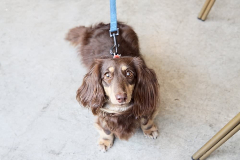 食久。茶事｜台中大里美食-超美玻璃貨櫃屋咖啡廳、美味下午茶｜台中餐廳推薦