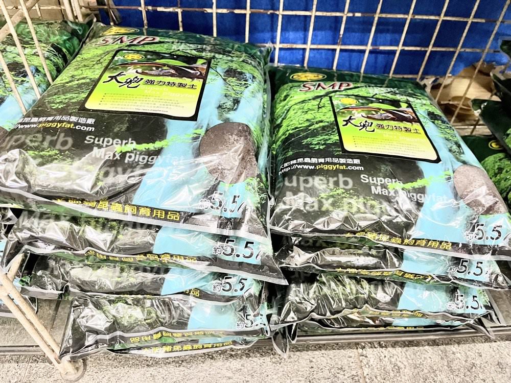 中壢甲蟲店推薦【阿峰甲蟲】獨角仙、鍬形蟲、雞母蟲、果凍飼育箱腐植土全都有！