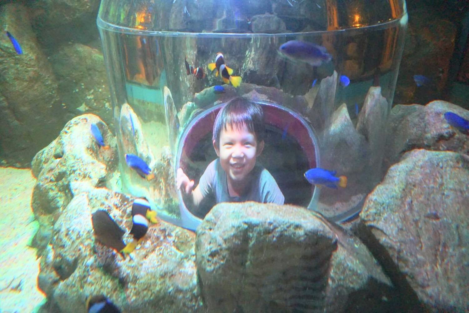 曼谷親子景點推薦｜曼谷暹羅海洋世界Sea Life Bangkok Ocean World、杜莎夫人蠟像館 | 曼谷下雨天大熱天室內景點推薦！