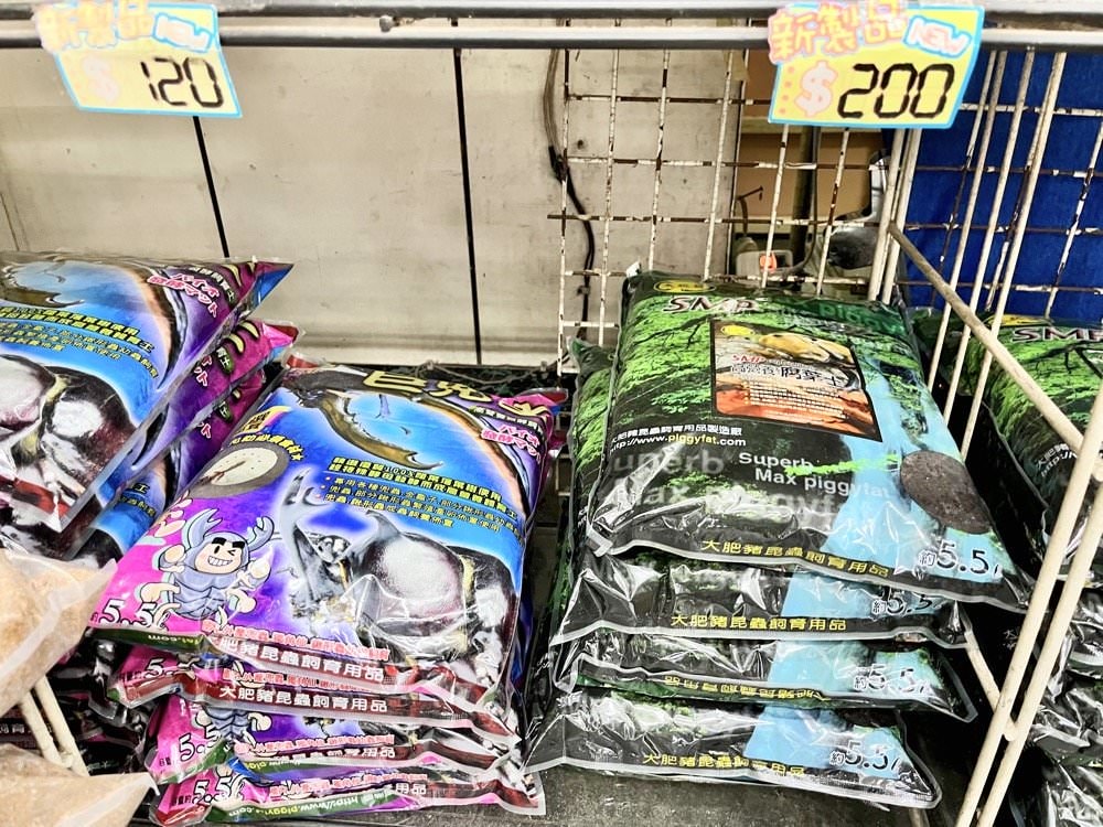 中壢甲蟲店推薦【阿峰甲蟲】獨角仙、鍬形蟲、雞母蟲、果凍飼育箱腐植土全都有！