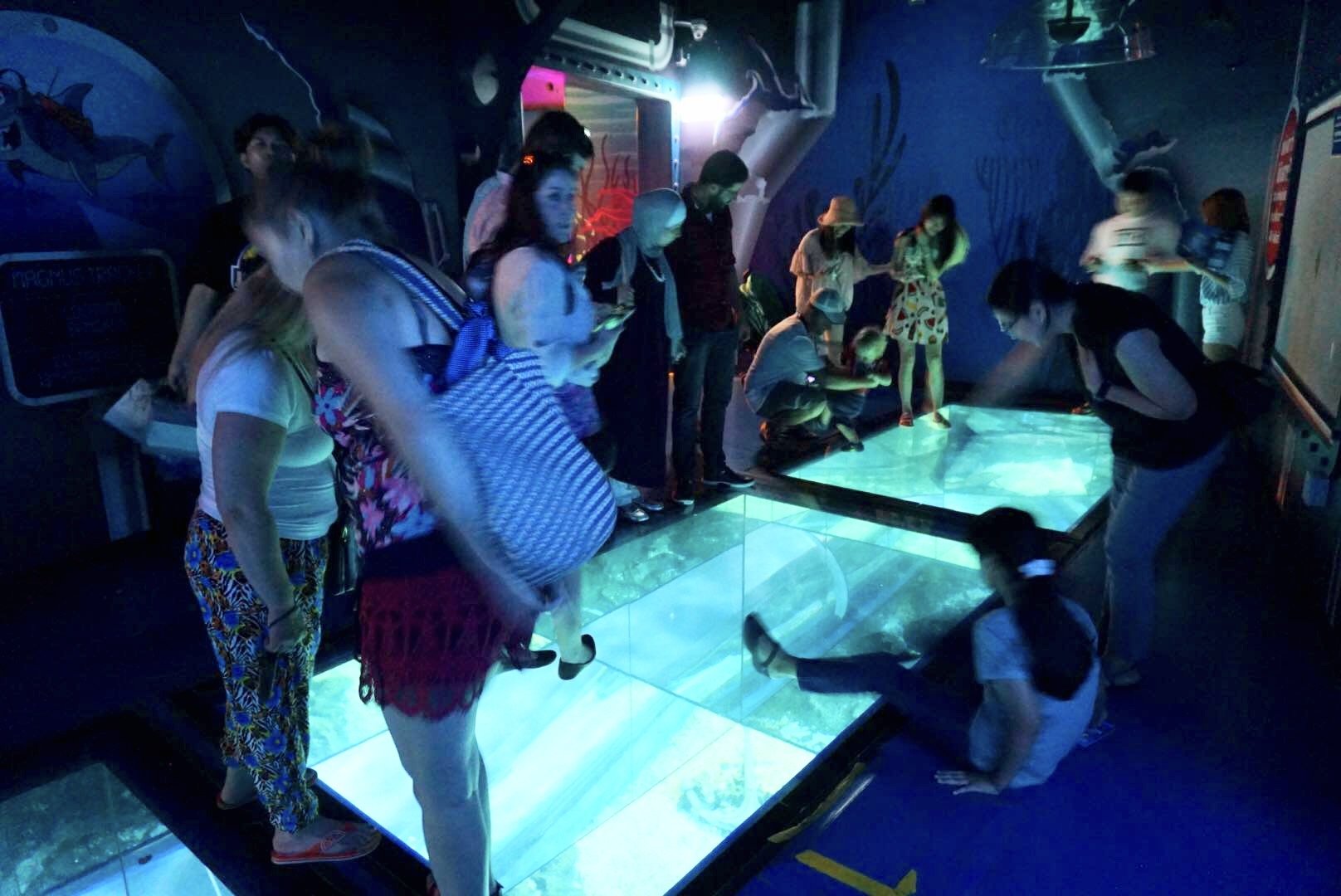 曼谷親子景點推薦｜曼谷暹羅海洋世界Sea Life Bangkok Ocean World、杜莎夫人蠟像館 | 曼谷下雨天大熱天室內景點推薦！