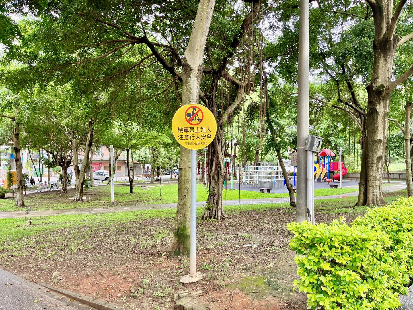 義興公園臭豆腐|平鎮排隊銅板小吃推薦,隱藏美食超讚好味道! - 第5張圖 義興公園臭豆腐|平鎮排隊銅板小吃推薦,隱藏美食超讚好味道!
