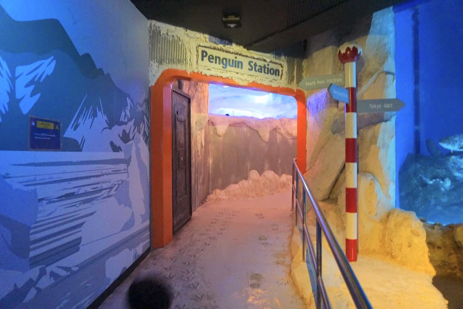 曼谷親子景點推薦｜曼谷暹羅海洋世界Sea Life Bangkok Ocean World、杜莎夫人蠟像館 | 曼谷下雨天大熱天室內景點推薦！