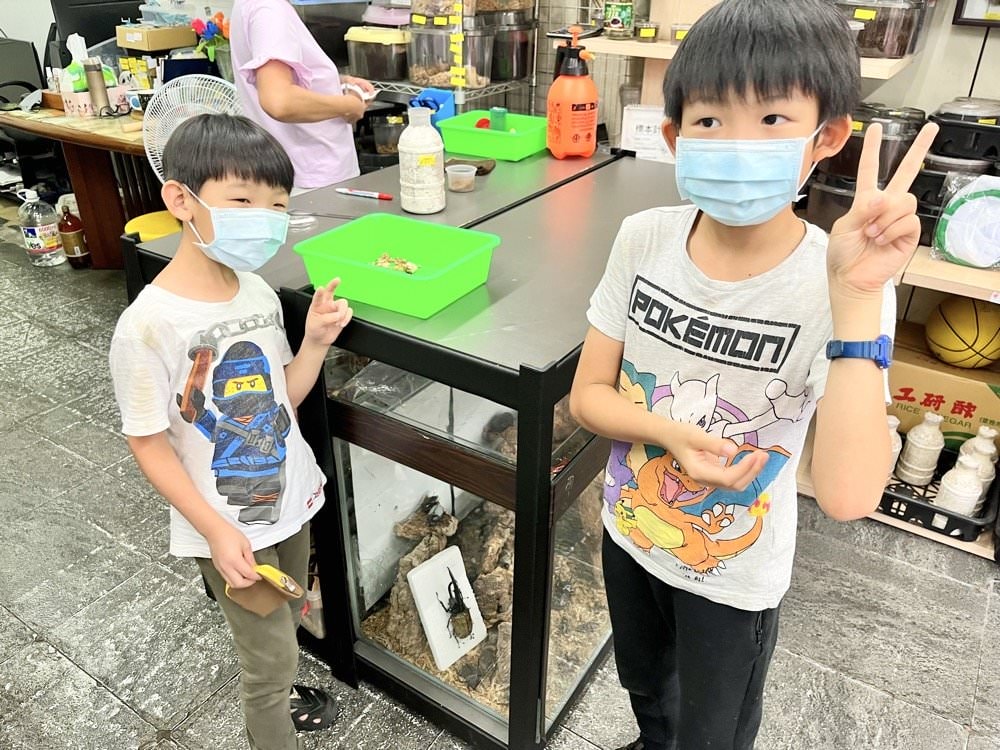 中壢甲蟲店推薦【阿峰甲蟲】獨角仙、鍬形蟲、雞母蟲、果凍飼育箱腐植土全都有！