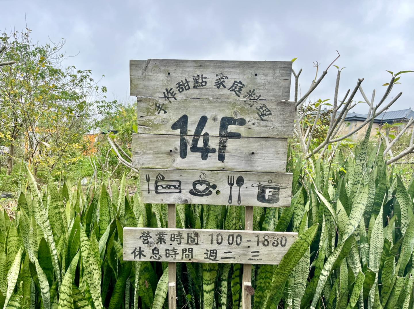 桃園新屋美食｜14F 手作甜點。家庭料理，鄉間小路上的新鮮美味(親子友善)