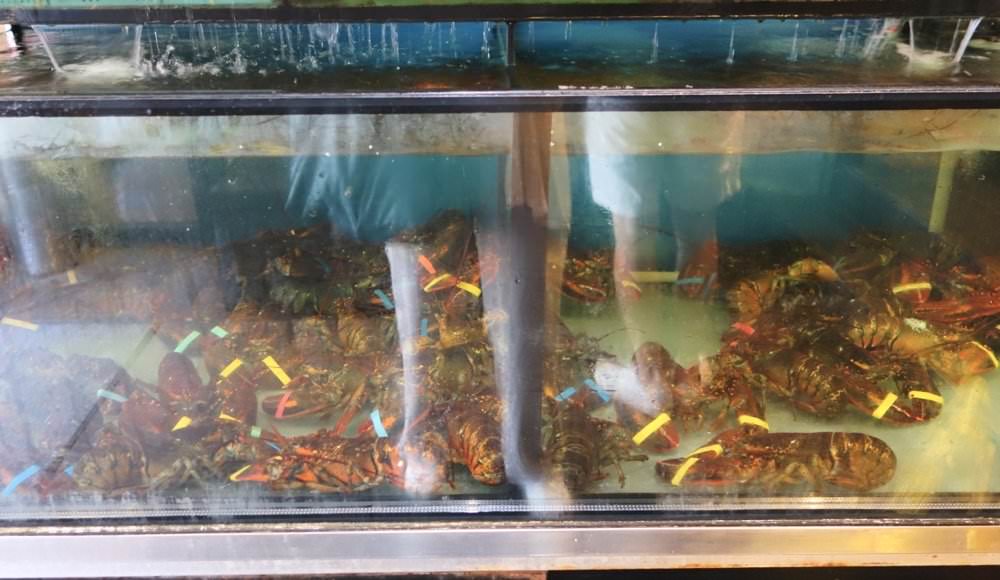 明水然松山慶城店｜台北無菜單鐵板燒餐廳推薦−新鮮龍蝦、鮑魚、菲力牛排必吃美味饗宴！慶生約會好店連藝人、名人都來這吃！