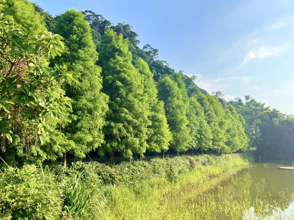 新北無菜單料理推薦【鳶山紅樓】知名飯店行政主廚執掌極品美味！三峽景觀餐廳賞花看夕陽、遠眺大漢溪