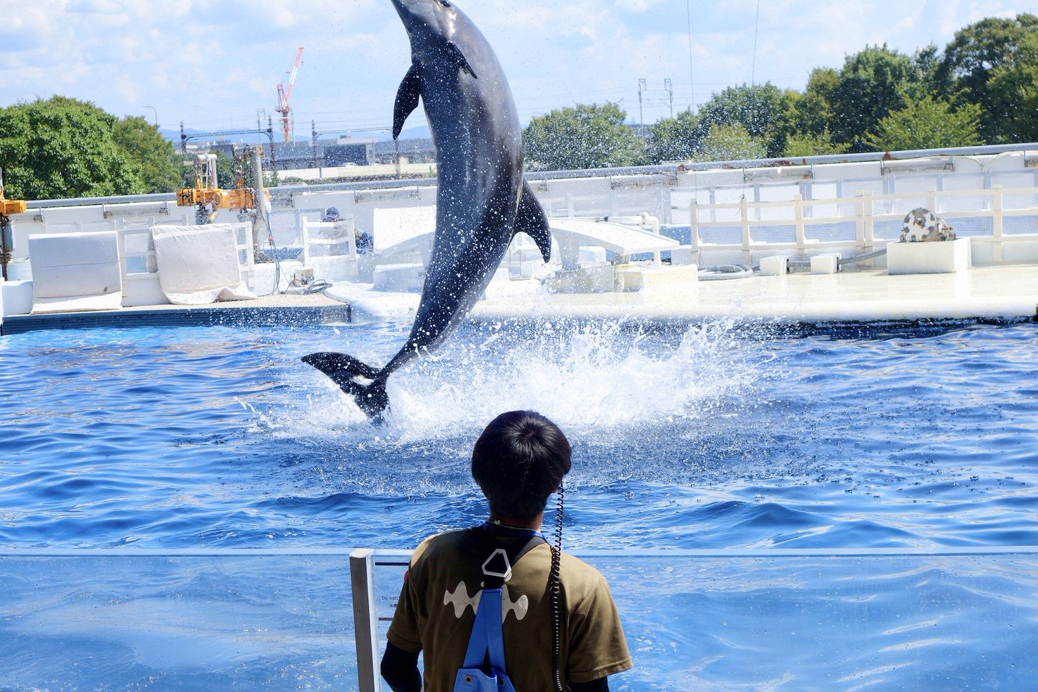 行程規劃APP推薦【去趣】日本自由行行程規劃最佳幫手!輕鬆搞定日本交通路線、行程景點順遊,可親友共編旅遊小書! - 第10張圖 行程規劃APP推薦【去趣】日本自由行行程規劃最佳幫手!輕鬆搞定日本交通路線、行程景點順遊,可親友共編旅遊小書!