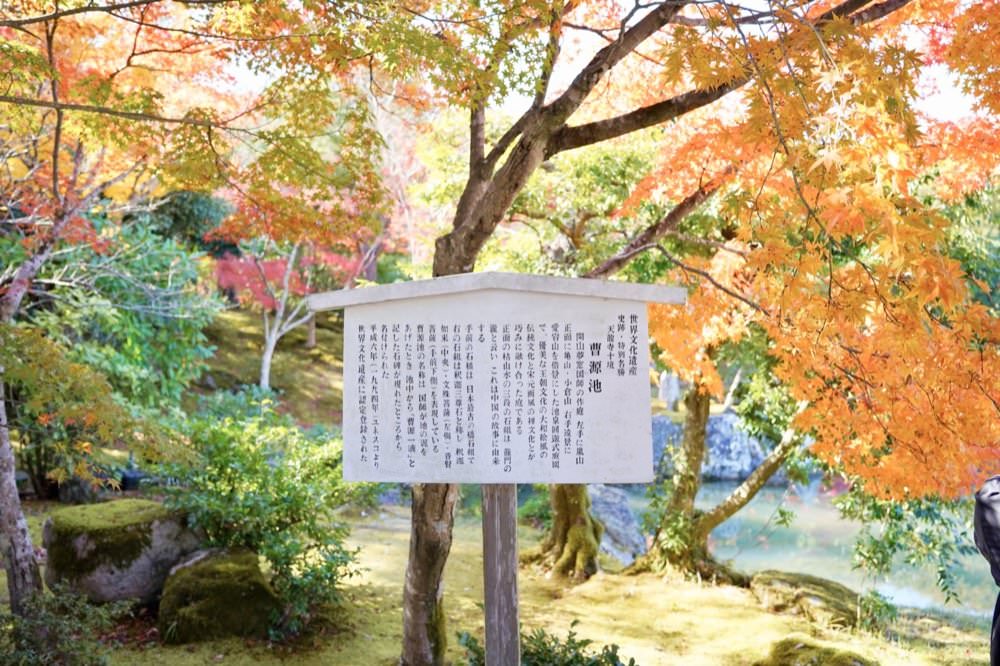 【海藻鈣推薦】營養師輕食國民海藻鈣!天然來源好吸收,海藻鈣+維生素D3升級配方輕鬆有感! - 第9張圖 【海藻鈣推薦】營養師輕食國民海藻鈣!天然來源好吸收,海藻鈣+維生素D3升級配方輕鬆有感!