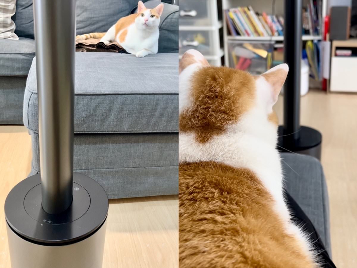 【開箱】今年冬天有它好溫暖！MAO air cool-Sunny 3in1 清淨冷暖循環扇，控溫舒適、無扇葉風扇、空氣清淨功能！