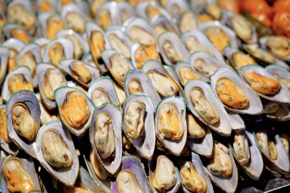 【曼谷遊船晚餐推薦】KKday富裕豪華郵輪搭乘經驗分享！湄南河遊船超棒體驗❤️