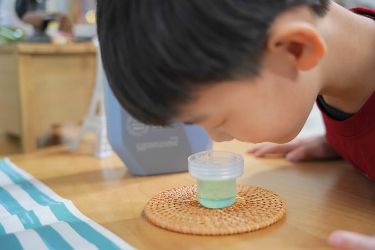 【致淨All in】超長效抗菌洗衣精、一滴去油洗碗精推薦！清爽自然不殘留，家庭洗滌必備好物！