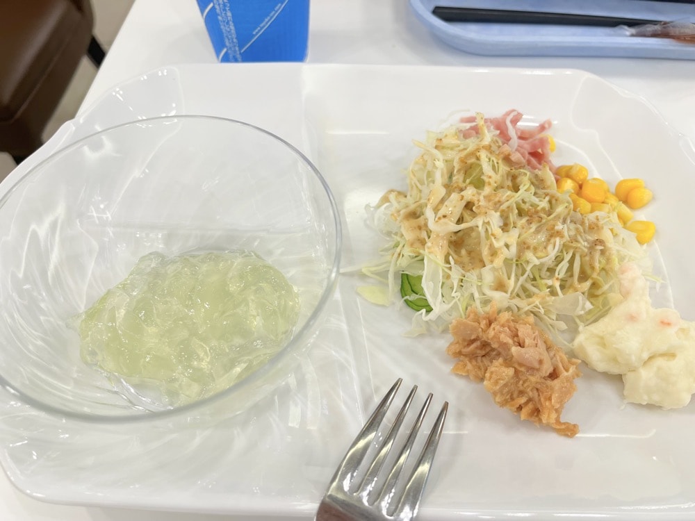 河口湖車站飯店推薦-河口湖東橫INN飯店免費早餐