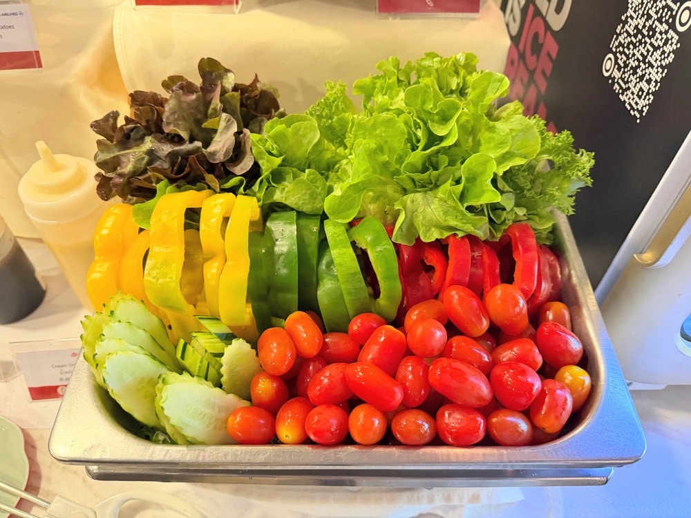 【BKK機場曼谷中華航空貴賓室VIP LOUNGE】豐富餐點隱密環境,金卡會籍免費使用貴賓室 - 第14張圖 【BKK機場曼谷中華航空貴賓室VIP LOUNGE】豐富餐點隱密環境,金卡會籍免費使用貴賓室