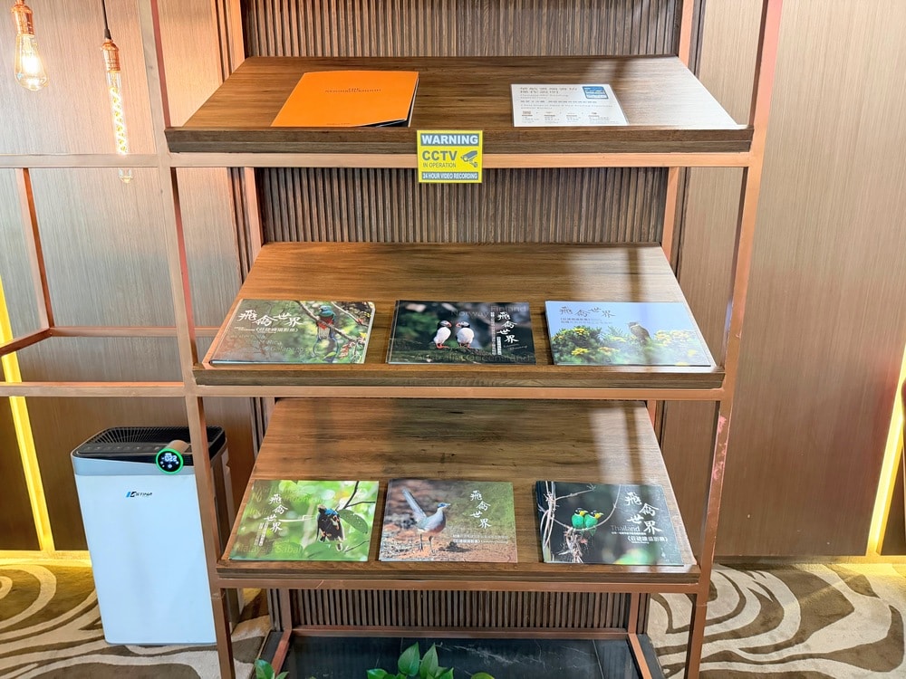 【BKK機場曼谷中華航空貴賓室VIP LOUNGE】豐富餐點隱密環境,金卡會籍免費使用貴賓室 - 第9張圖 【BKK機場曼谷中華航空貴賓室VIP LOUNGE】豐富餐點隱密環境,金卡會籍免費使用貴賓室
