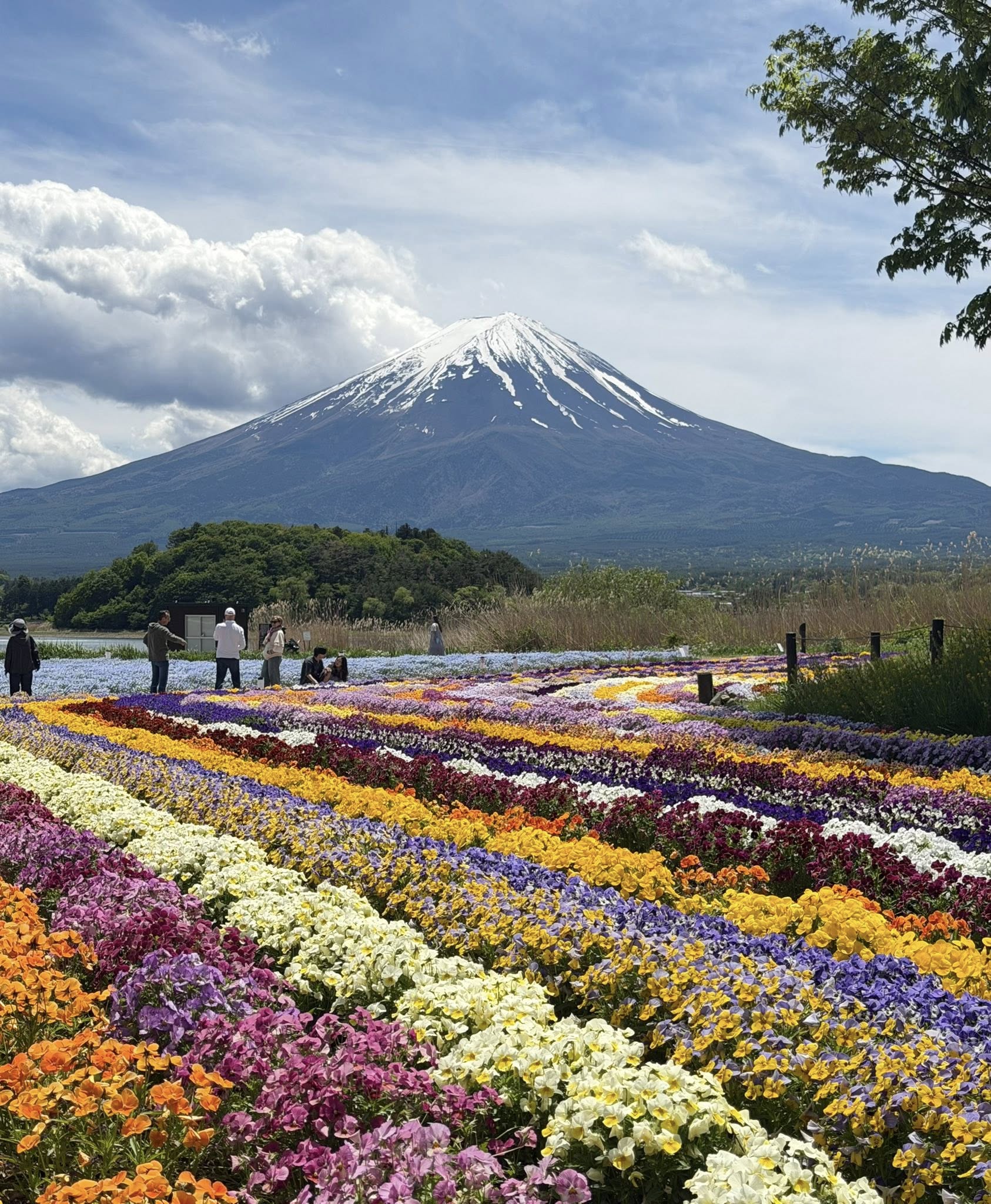 【河口湖住宿推薦】富士格蘭別墅Fuji Grand Villa – TOKI-泡湯賞富士山美景,4/6/8人房獨棟公寓式飯店 - 第55張圖 【河口湖住宿推薦】富士格蘭別墅Fuji Grand Villa – TOKI-泡湯賞富士山美景,4/6/8人房獨棟公寓式飯店