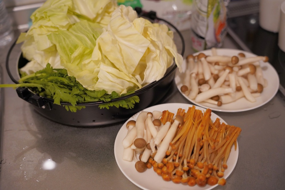 【河口湖住宿推薦】富士格蘭別墅Fuji Gran Villa - TOKI飯店介紹。實際入住體驗-泡湯賞富士山美景，4人房、6人房、8人房獨棟公寓式飯店，有廚房與客廳、陽台