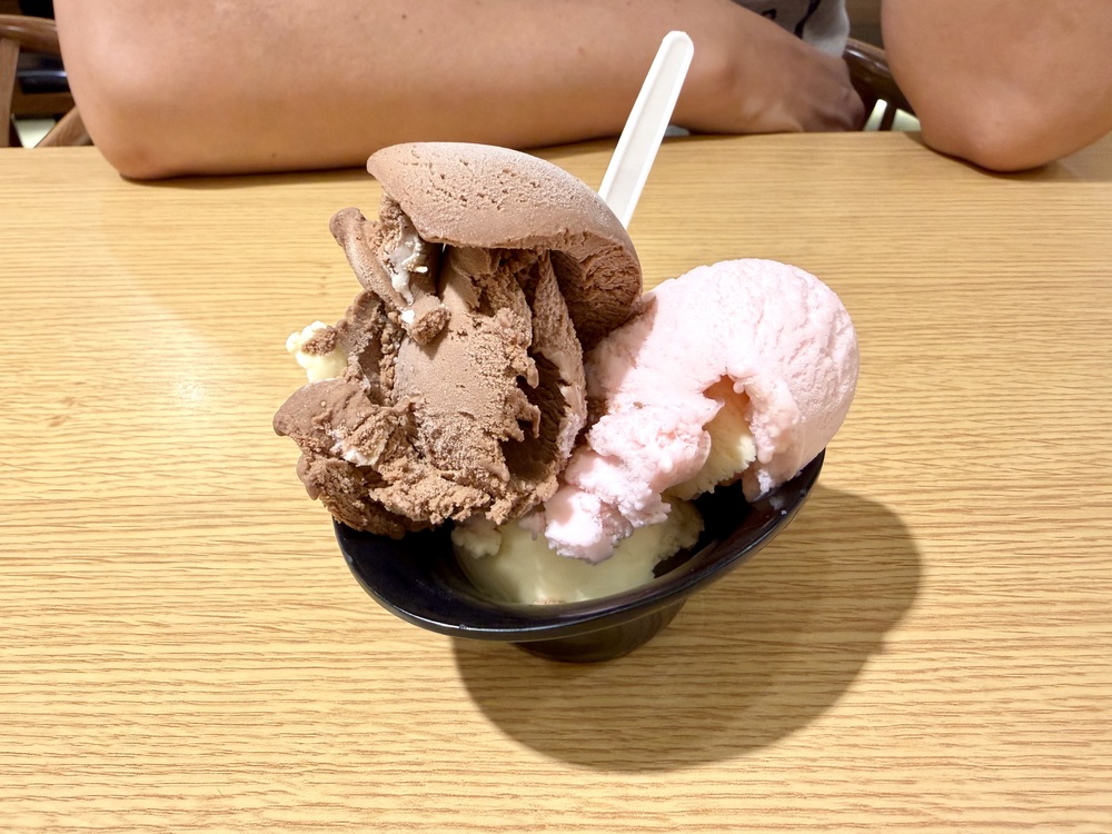 【中壢美食小吃】集英會牛肉麵 中壢中央東店．平價美味牛肉麵、麻醬麵，附設飲料機、冰淇淋吃到飽